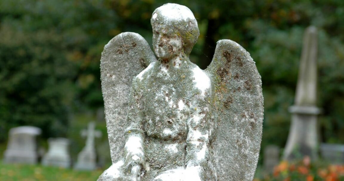 Cemeteries: here are the most evocative cemeteries in the world