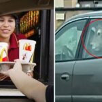 A "whole cow" is spotted in a car waiting in line at a Wisconsin McDonald's