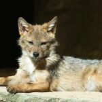 Los Angeles school gets unexpected visitor