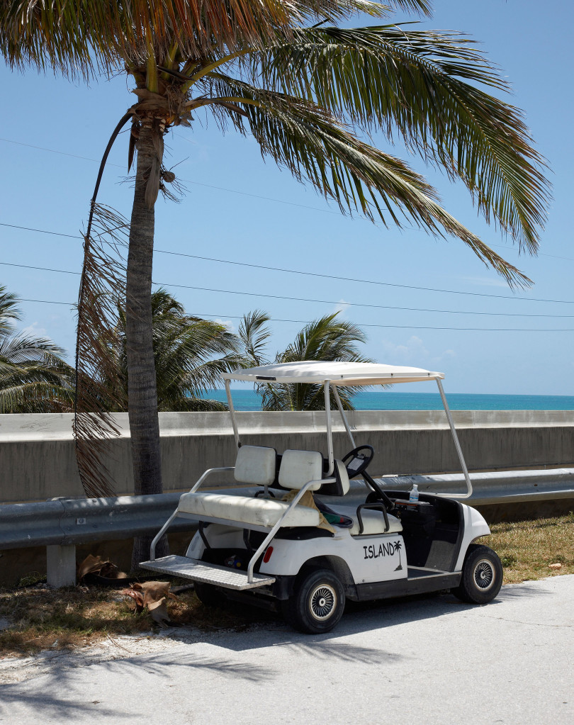 A nude woman driving a golf cart interrupted police during a six-hour standoff