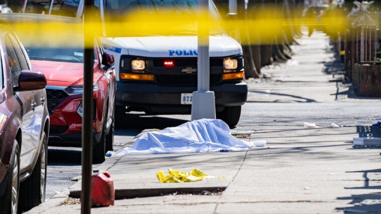 Brooklyn man shot and killed on the street just weeks after being released from jail