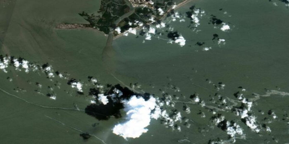 Oil contamination after Hurricane Ida in the Gulf of Mexico