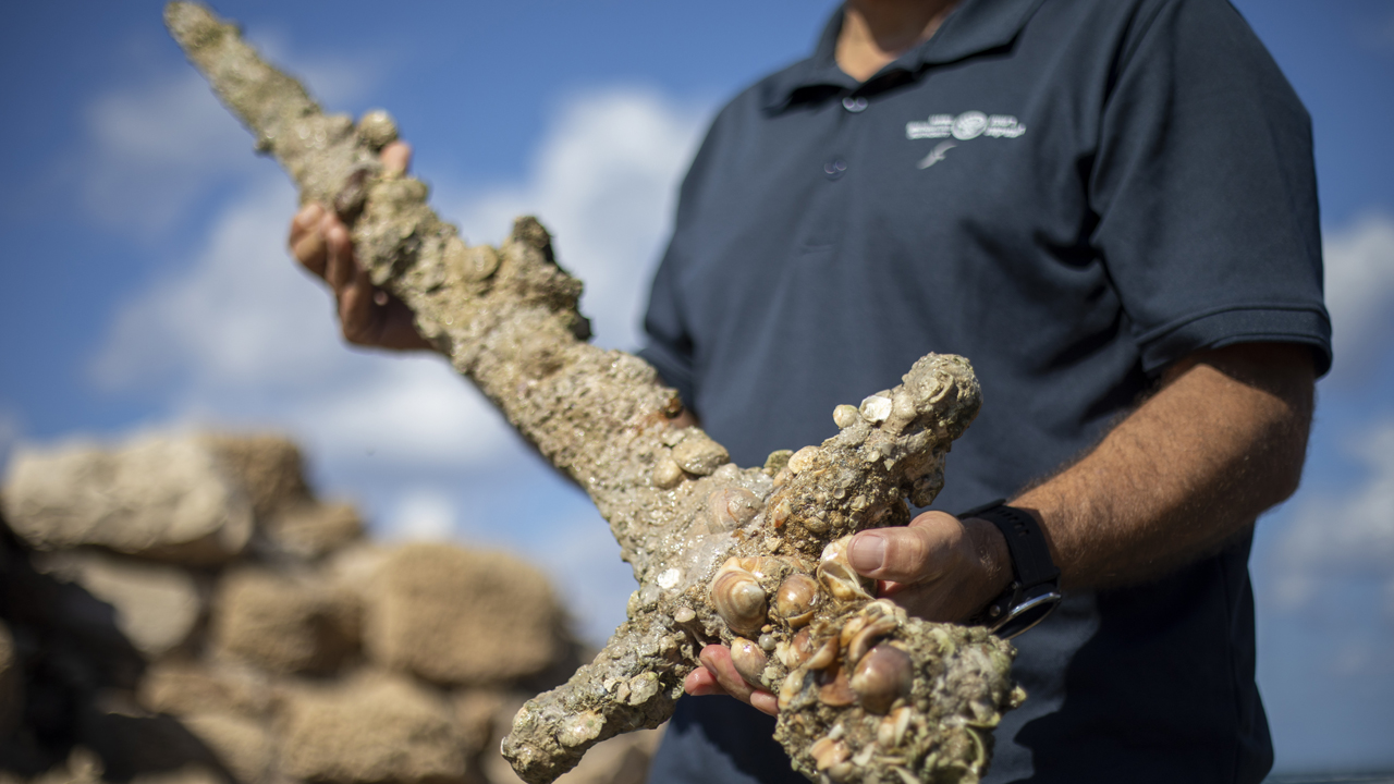 900-year-old sword found embedded in shells off Israel