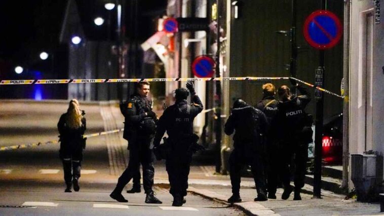 At least 5 killed and others wounded in bow and arrow attack near Oslo, Norway