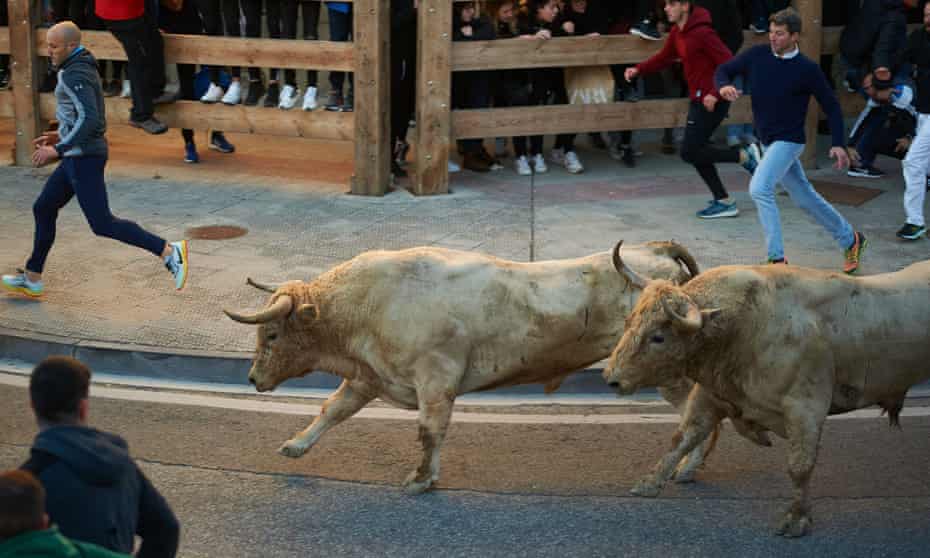 Man gored to death by bull at festival in Spain