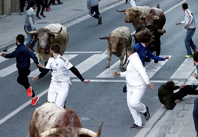 Man gored to death by bull at festival in Spain