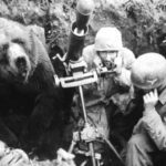 The bear that participated in World War II with the Polish army