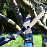 A woman cut off her lover's penis with a pruning shear