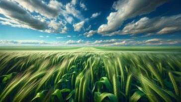 Saskatchewan's bold decision on carbon tax policy
