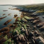 Coastal protection strategy in Nova Scotia municipalities